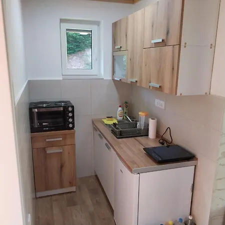 Visocka Banja * Arilje