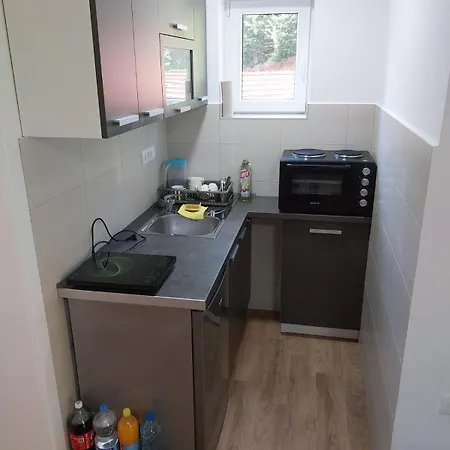 Апартаменты Visocka Banja Arilje