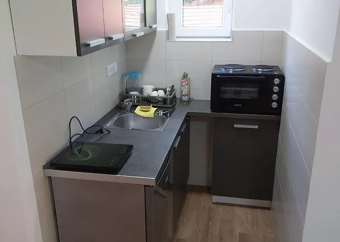 公寓 Visocka Banja Arilje