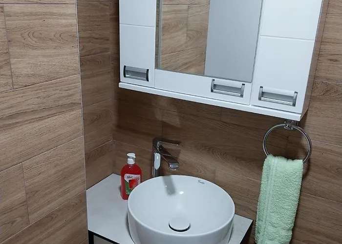 公寓 Visocka Banja