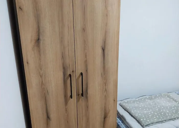 Visocka Banja Arilje