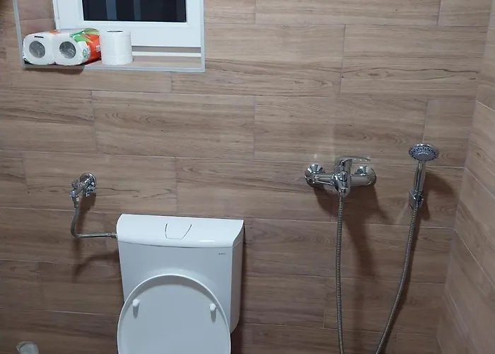 公寓 Visocka Banja Arilje